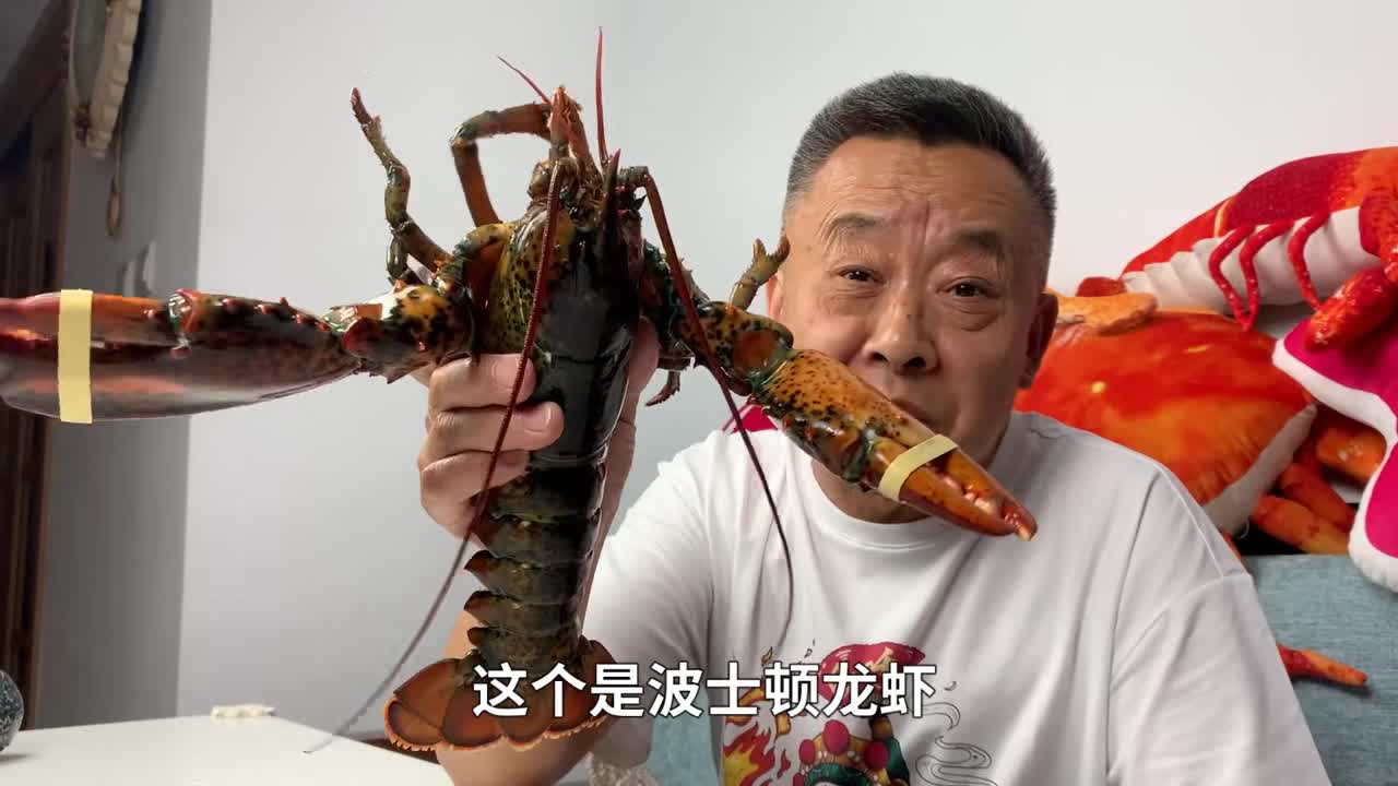 #老爹#500一只的蓝龙虾,跟波士顿龙虾比,哪个更好吃