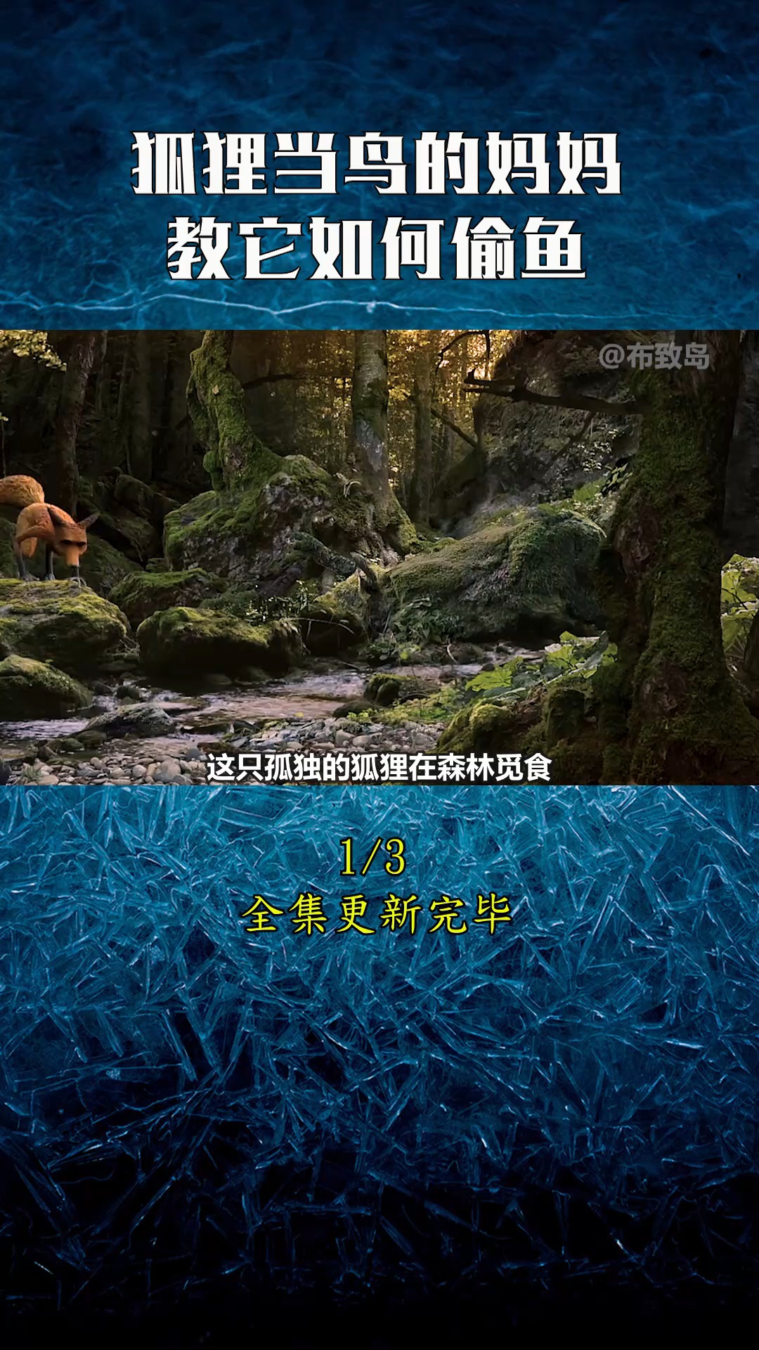 #治愈系#狐狸捡到鸟蛋,抚养长大,教它偷鱼