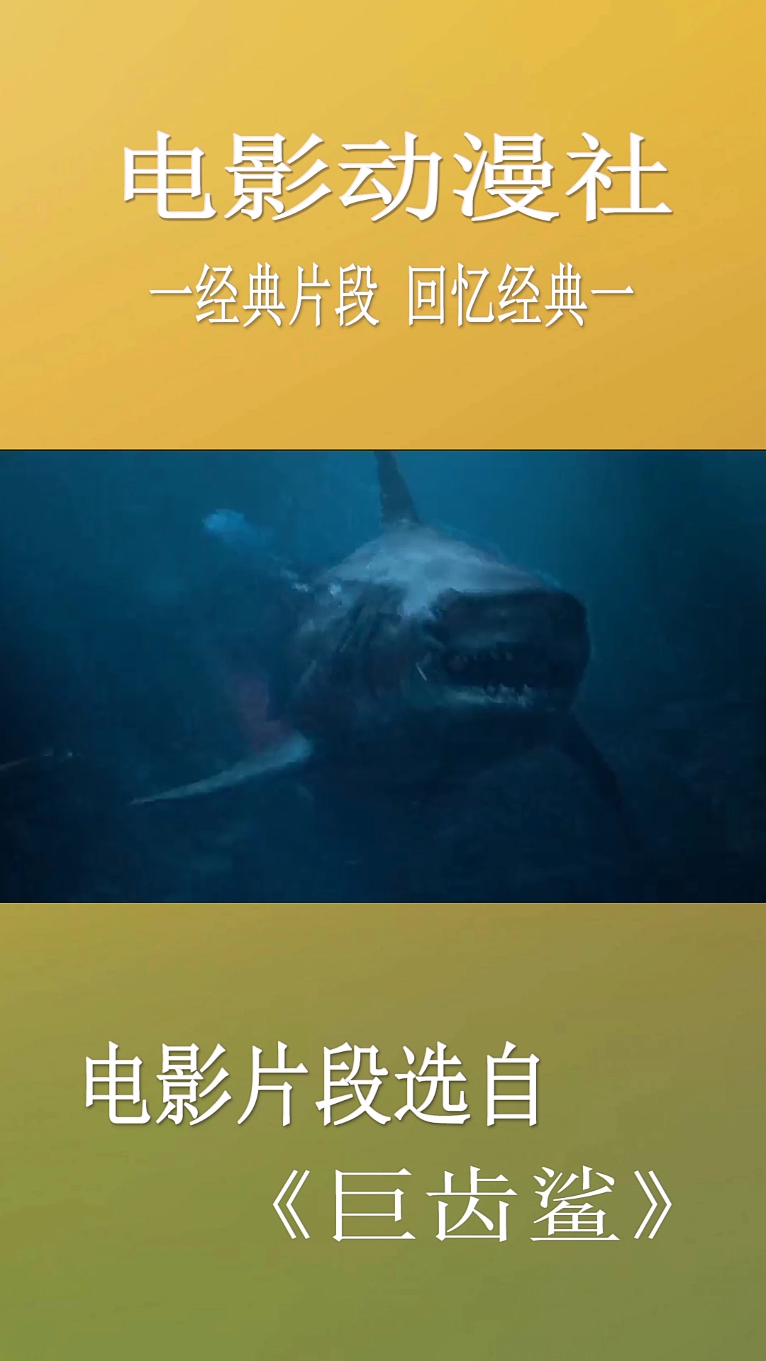 电影动漫社。经典片段回忆经典一。电影片段选自。《巨齿鲨》