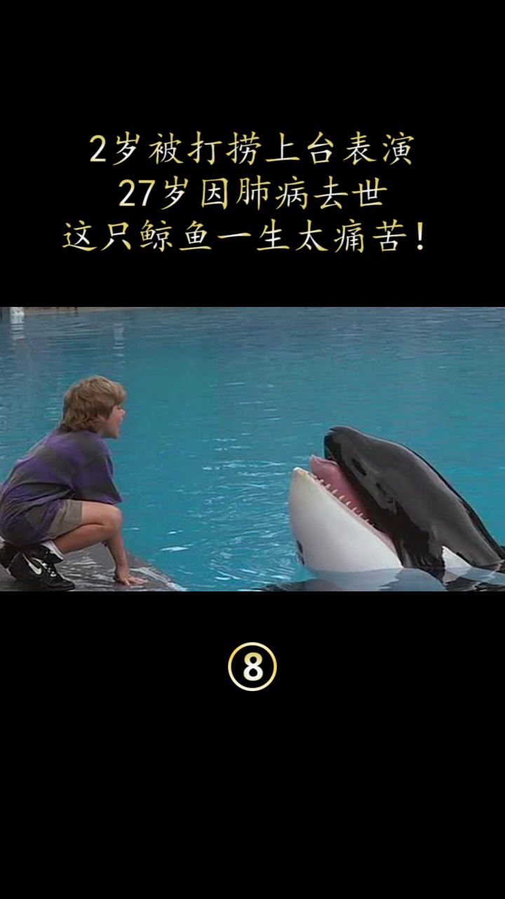 20年前没有特效,却拍出了人与兽的电影,可惜结局太过悲凉!