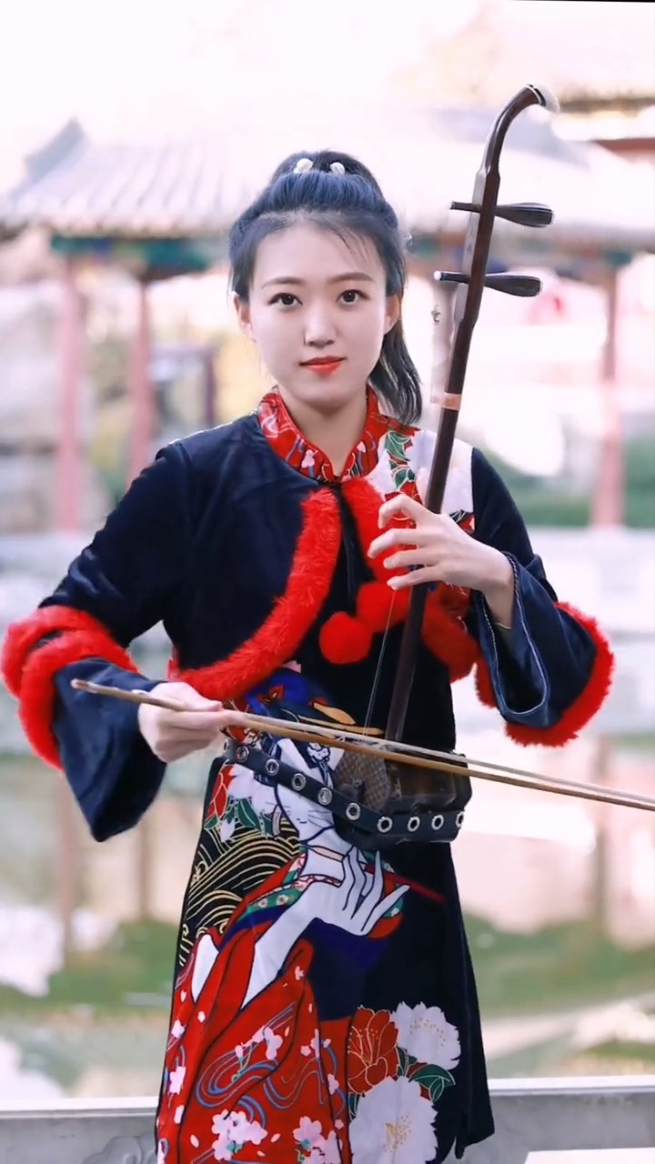 #古典中国风#国风古韵民乐艺术欣赏,二胡拉奏《大鱼海棠》,传承弘扬民乐文化
