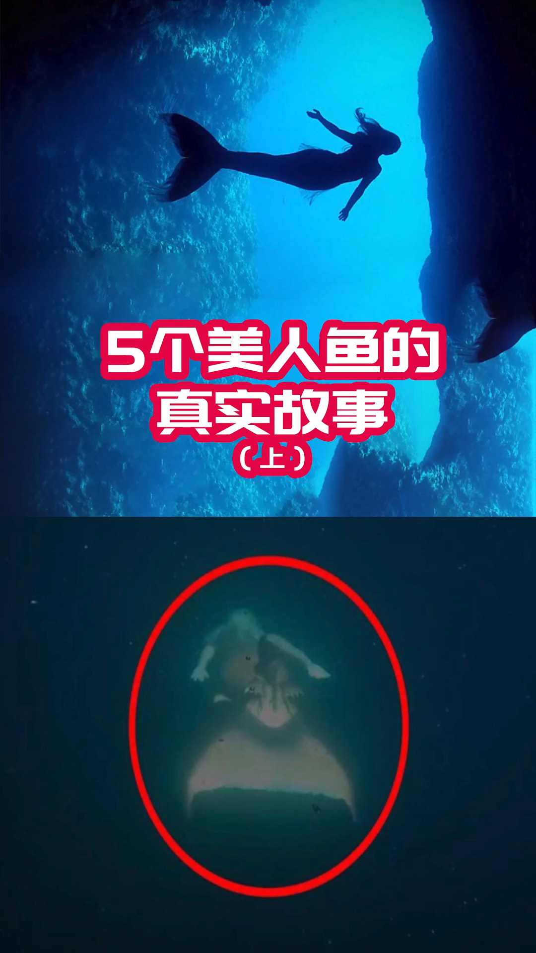 5个美人鱼的真实故事(上),这个视频花了整整三天才做完的,感谢大家点赞支持哦!