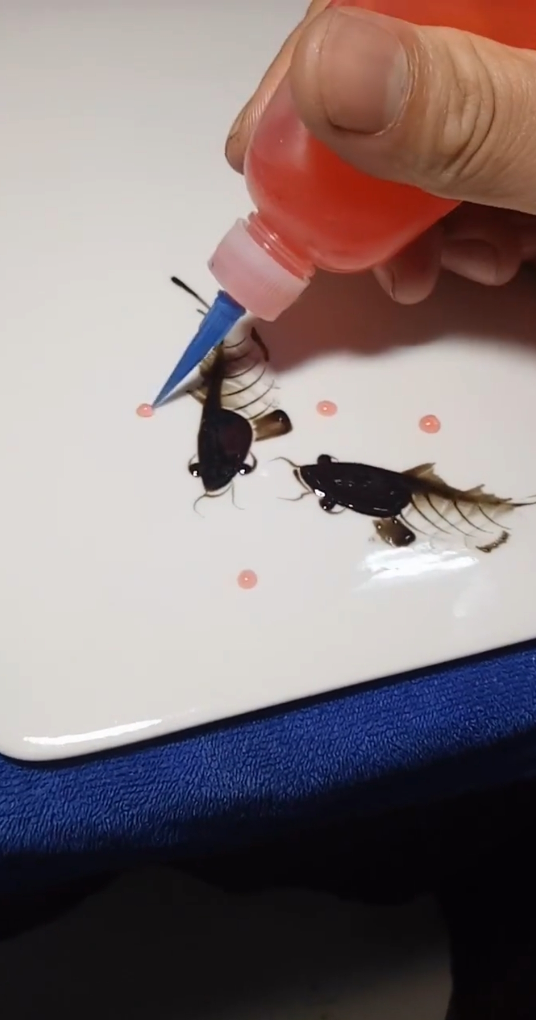 哎,你看两只鱼儿在戏水呢