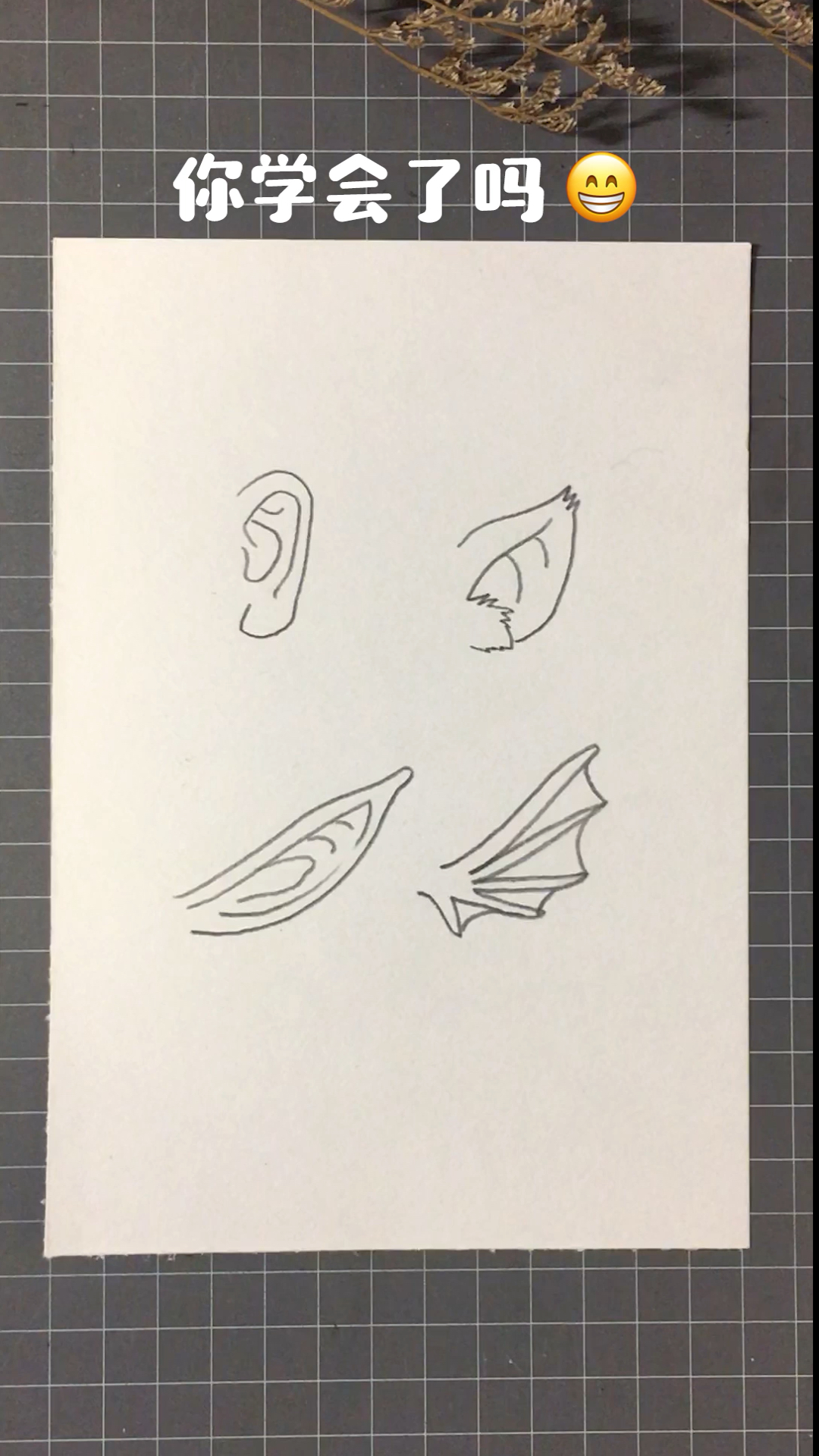 #画画原来如此简单#耳朵的画法