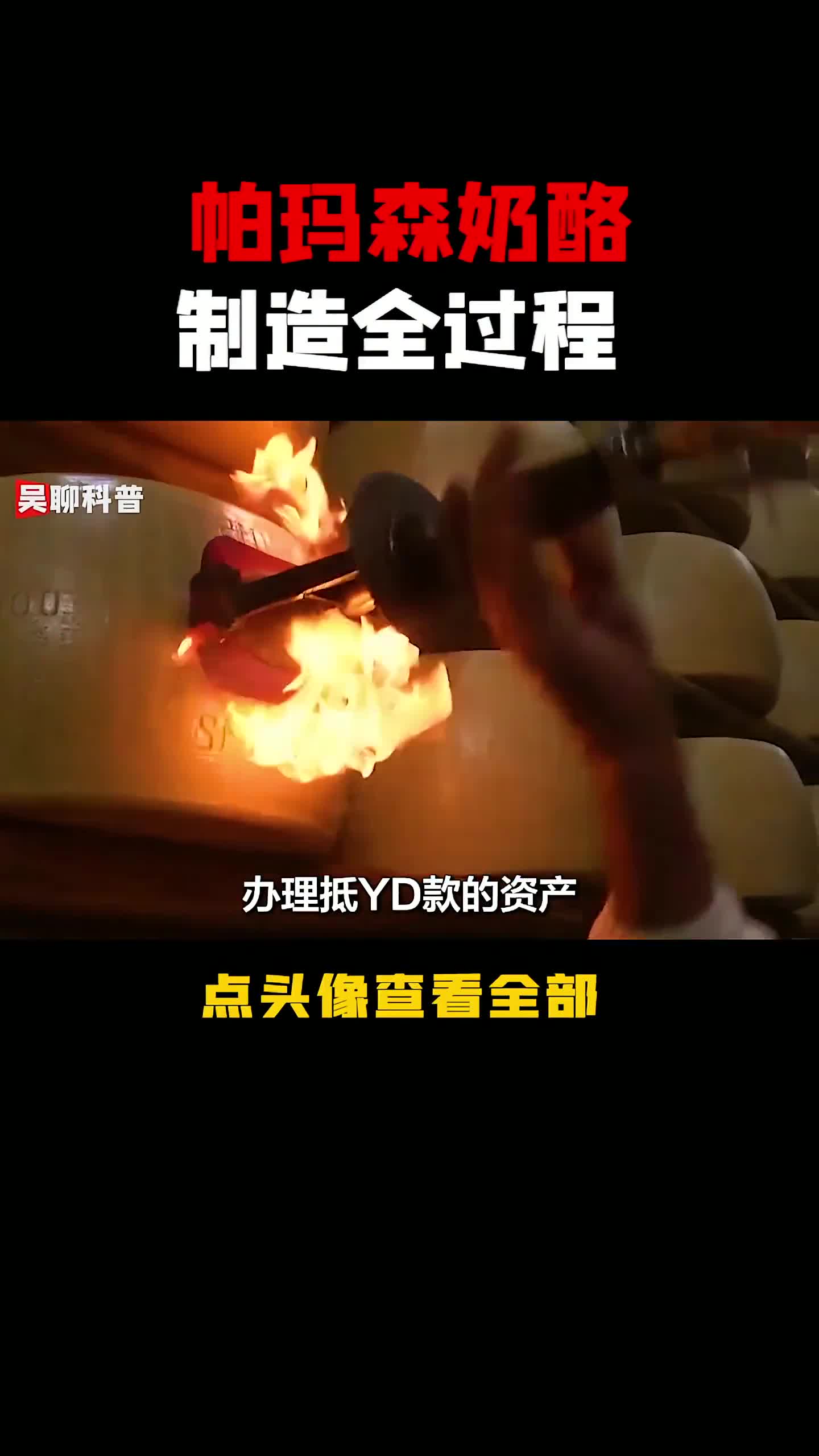 堪称奶酪之王,帕玛森干酪制造过程