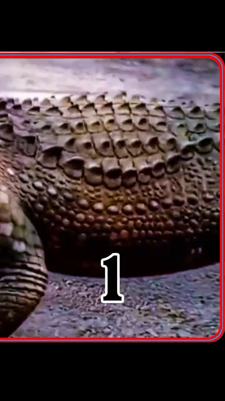 #精彩影视#这是一部值得看的电影,讲述着男子被鳄鱼咬后变异