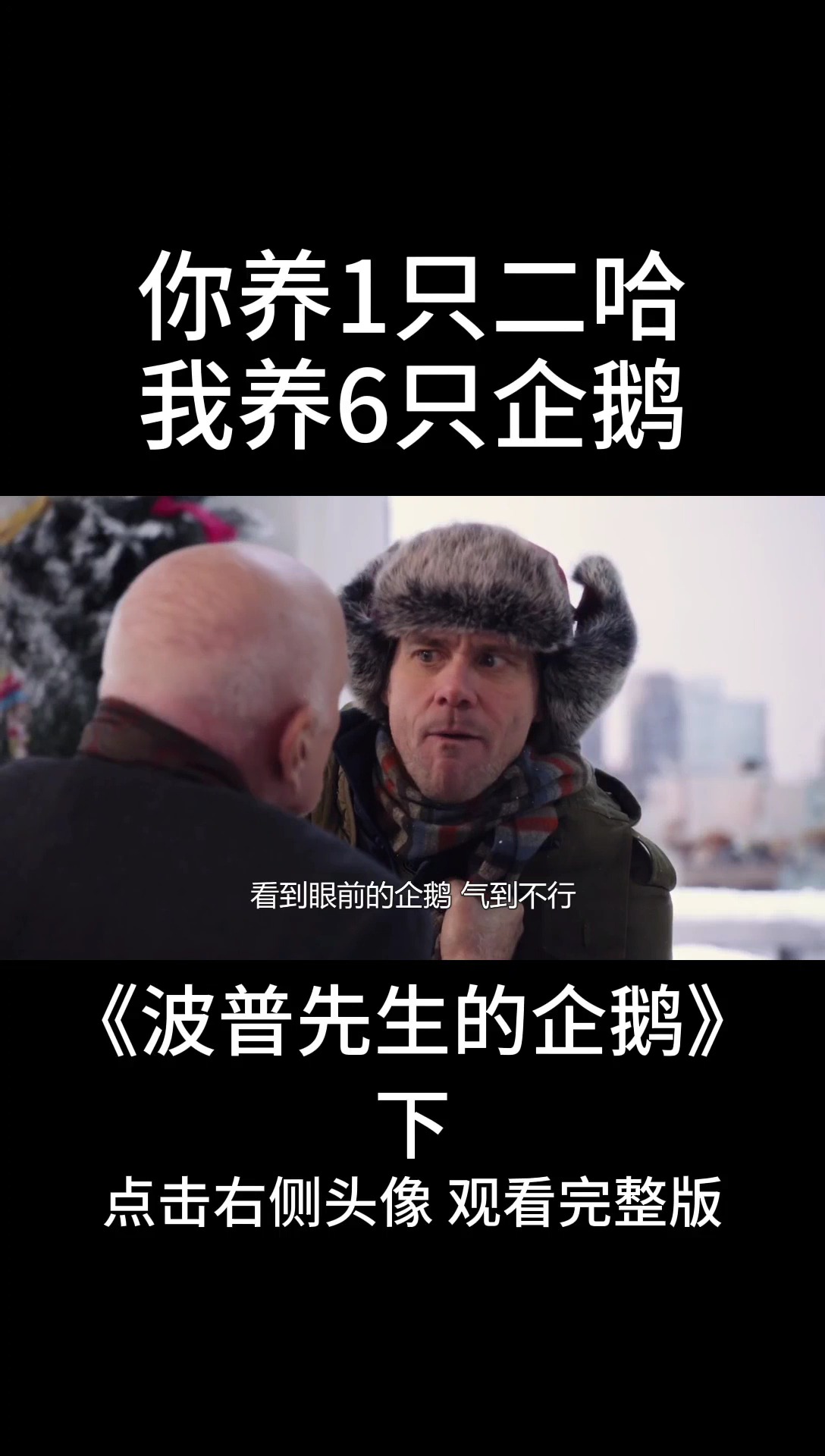 我想用六只企鹅跟你换一只拆家的二哈