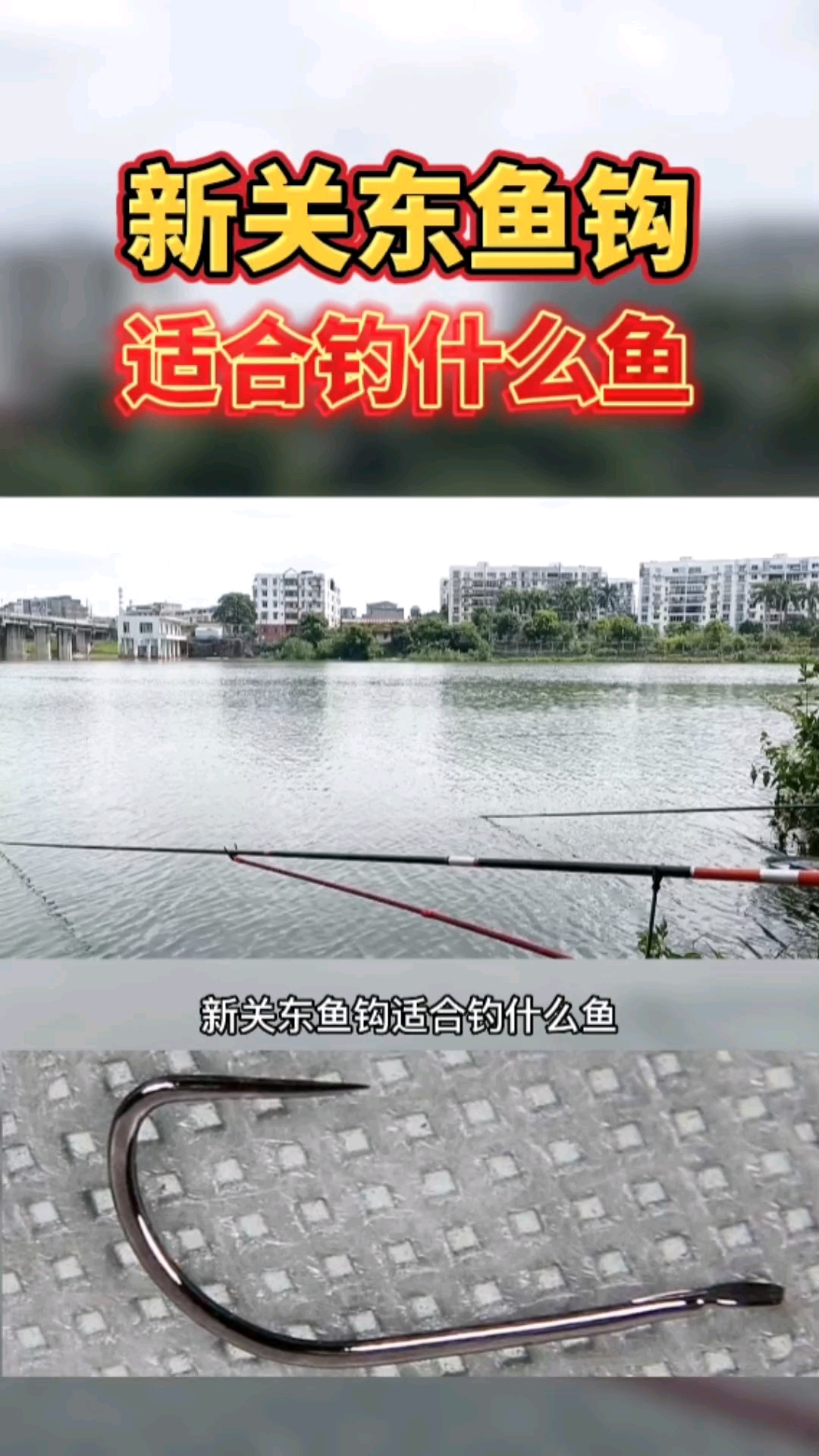 #钓鱼#新关东鱼钩适合钓什么鱼?新关东鱼钩的优缺点