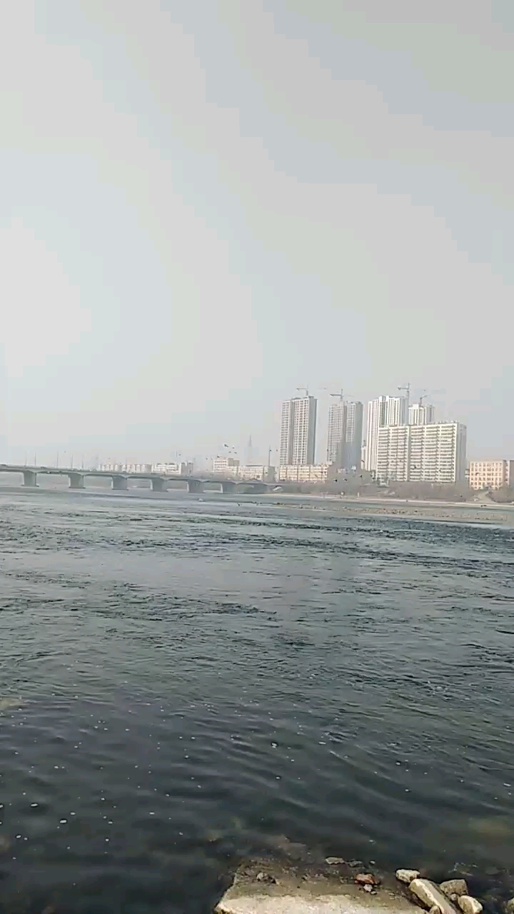 全靠听来感觉有多少鸟了松花江边野鸭子群上千只可惜我没录出效果