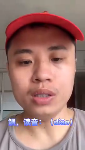 鱼周读什么鲷鱼?