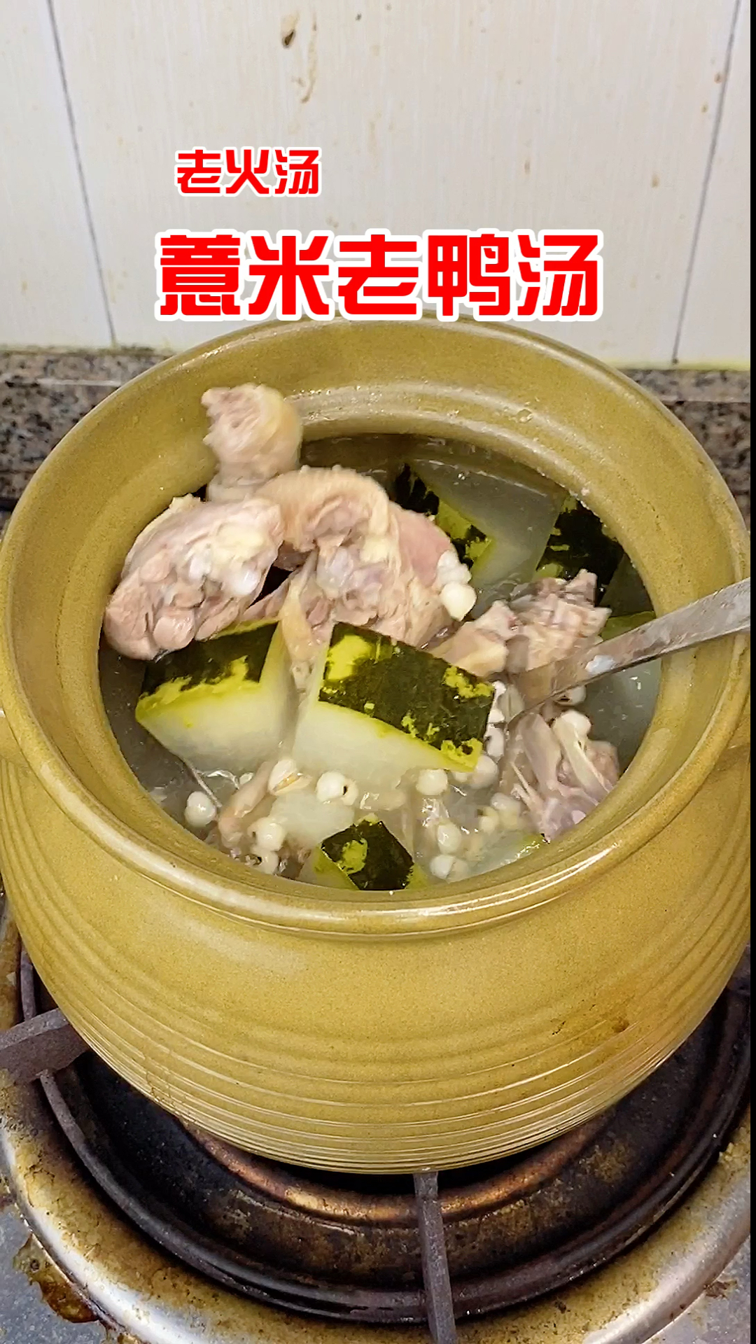 #养生汤#老鸭汤!薏米鸭汤!#吃在广东#汤#老火汤#老鸭汤#冬瓜薏米老鸭汤#鸭汤