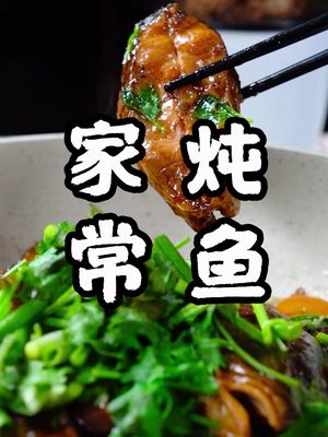 鲤鱼怎么做才好吃，家常炖鱼教给您#美食 #美食趣胃计划  