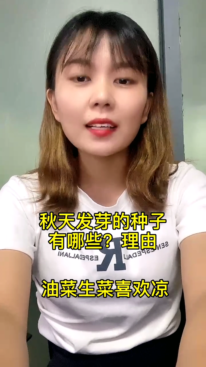 秋天发芽的种子有哪些?理由 