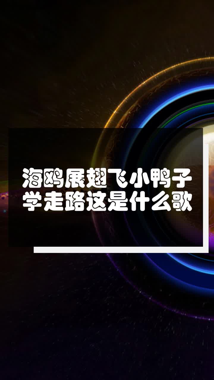 海鸥展翅飞小鸭子学走路这是什么歌