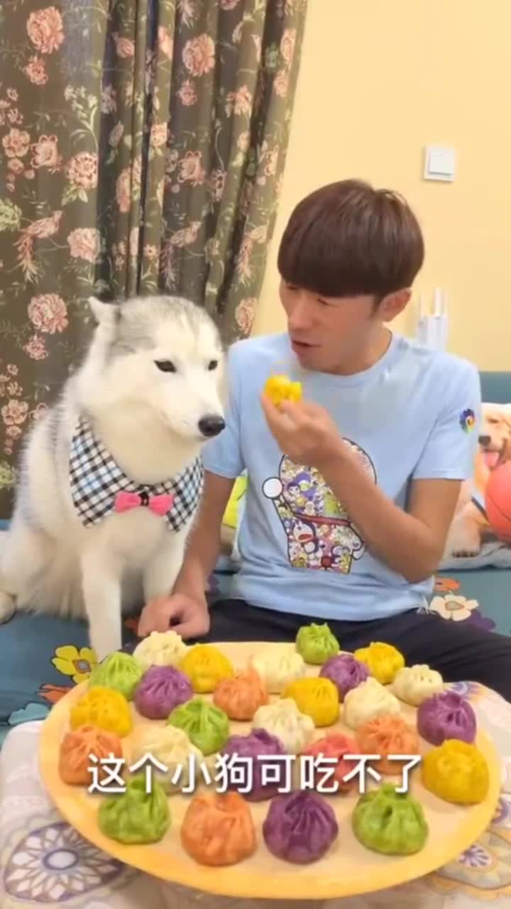 小哥吃包子,狗子太馋了,结果却是狗肉馅的