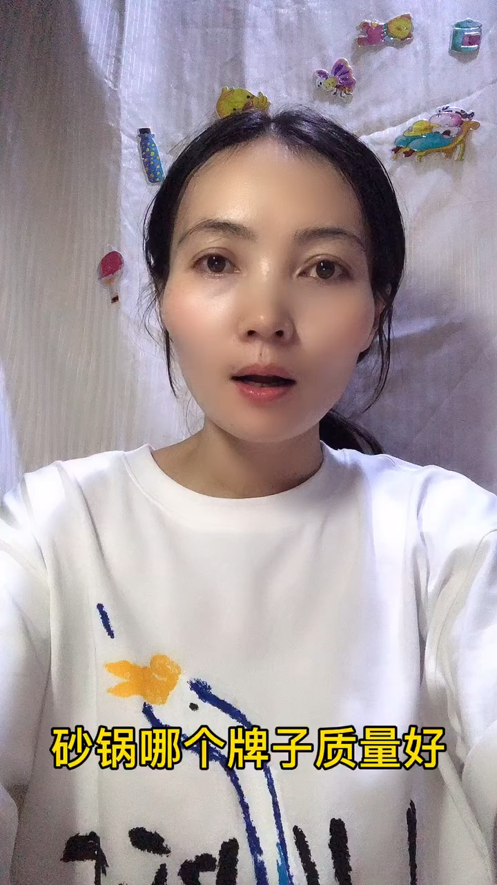 砂锅哪个牌子质量好 