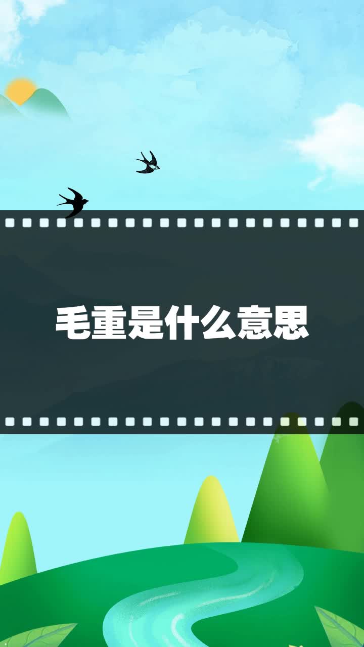 毛重是什么意思