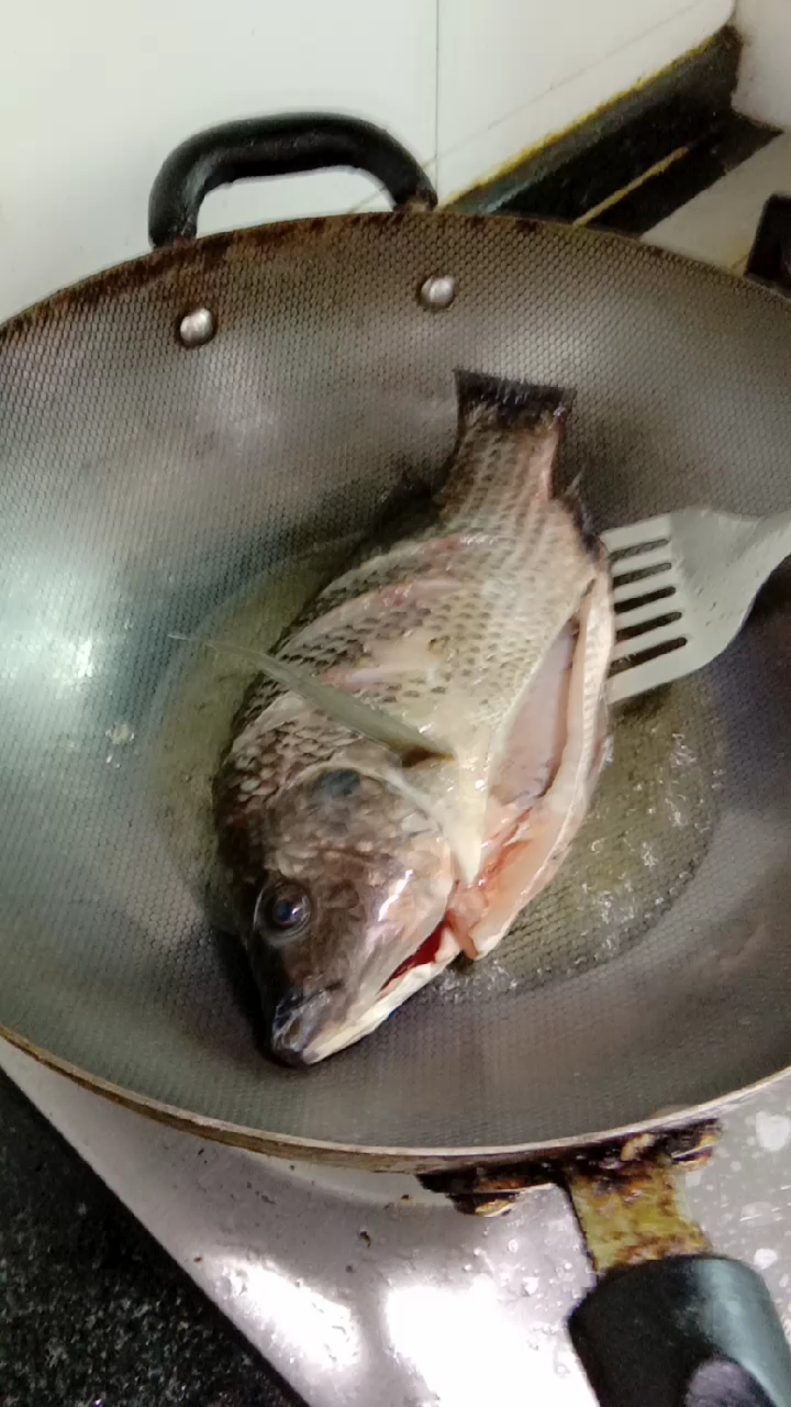 河鱼