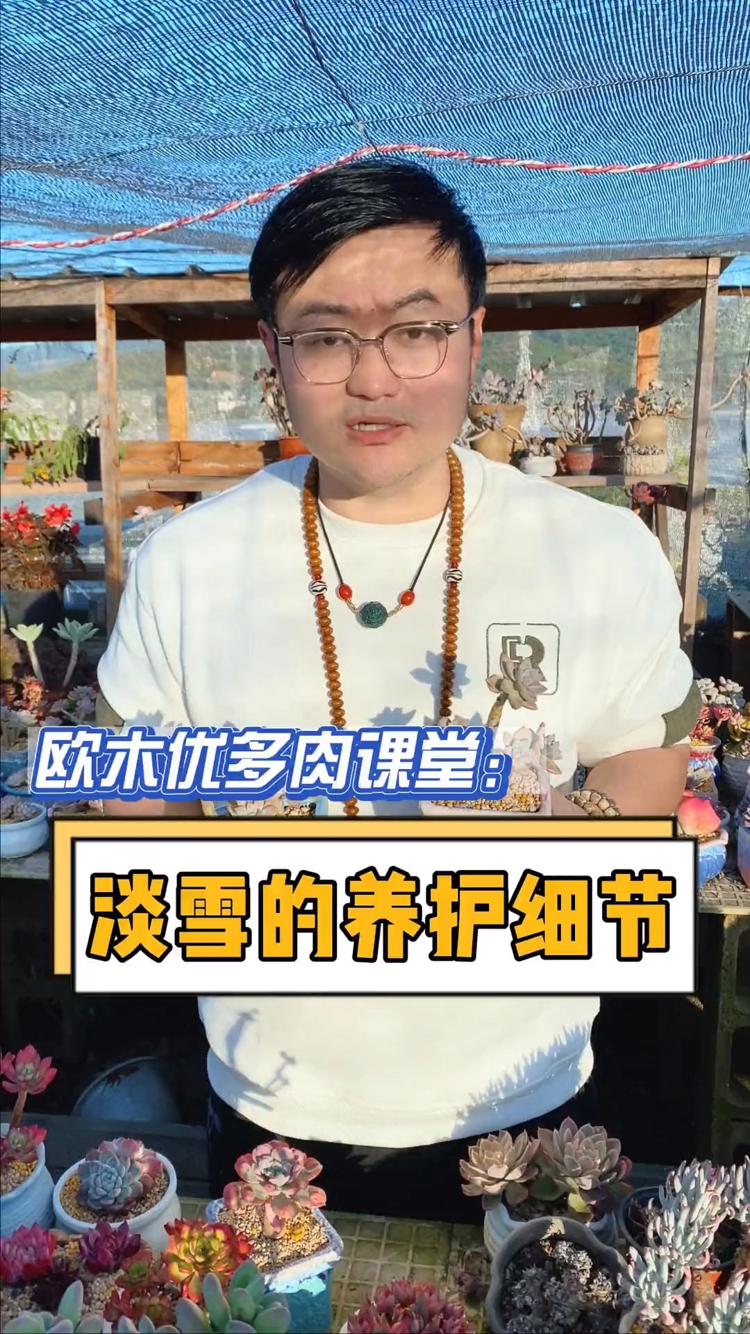 #有一种可爱叫多肉!#淡雪的养护要注意哪些细节?如何养出果冻粉?这个视频告诉你#多肉#多肉