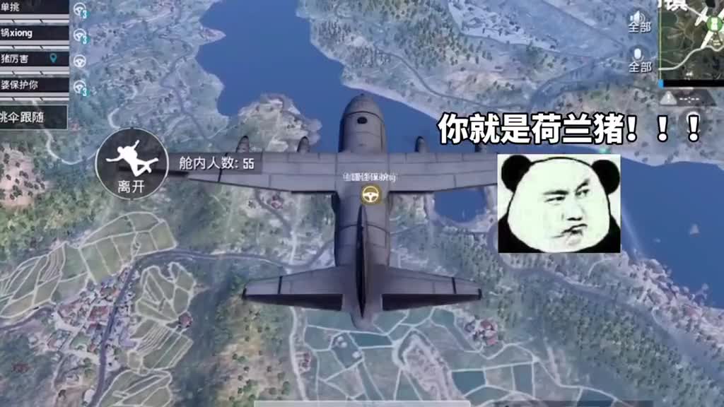 荷兰猪男人都是荷兰猪鱼废废和平动物园哈哈哈哈太快乐了