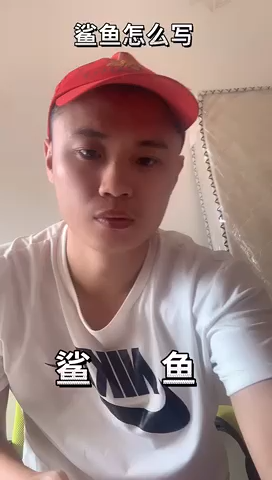 鲨鱼怎么写?   