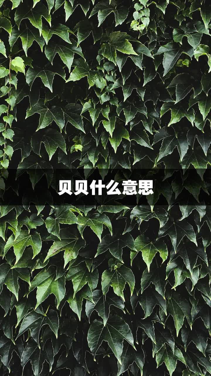 贝贝什么意思