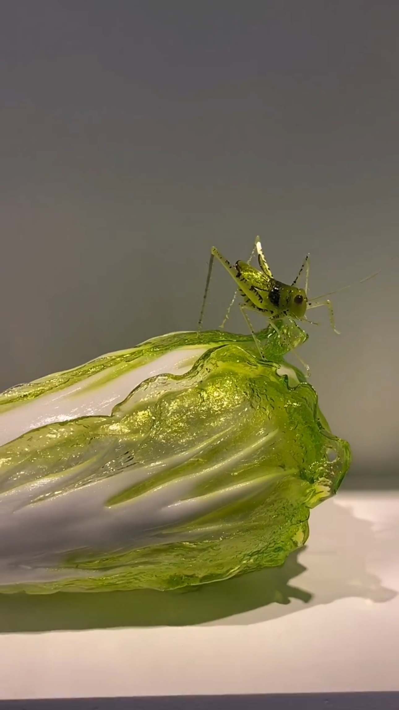 糖艺玉白菜给个价格参考