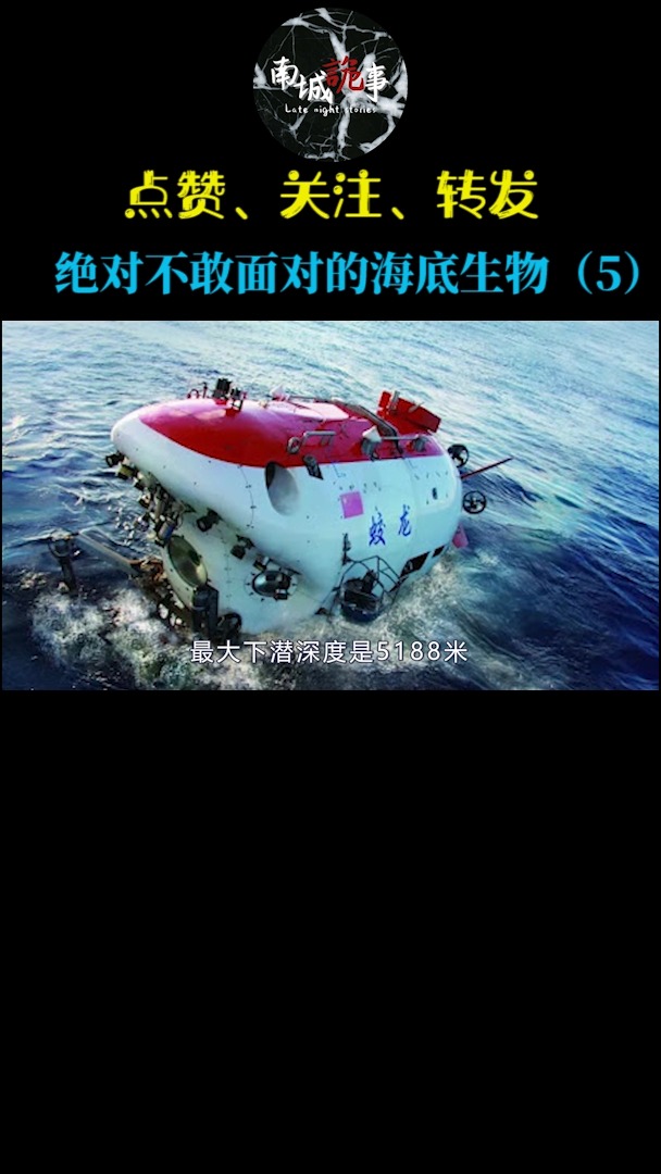 #海洋生物#你敢点开吗?你绝对不敢面对的海洋生物!(5)
