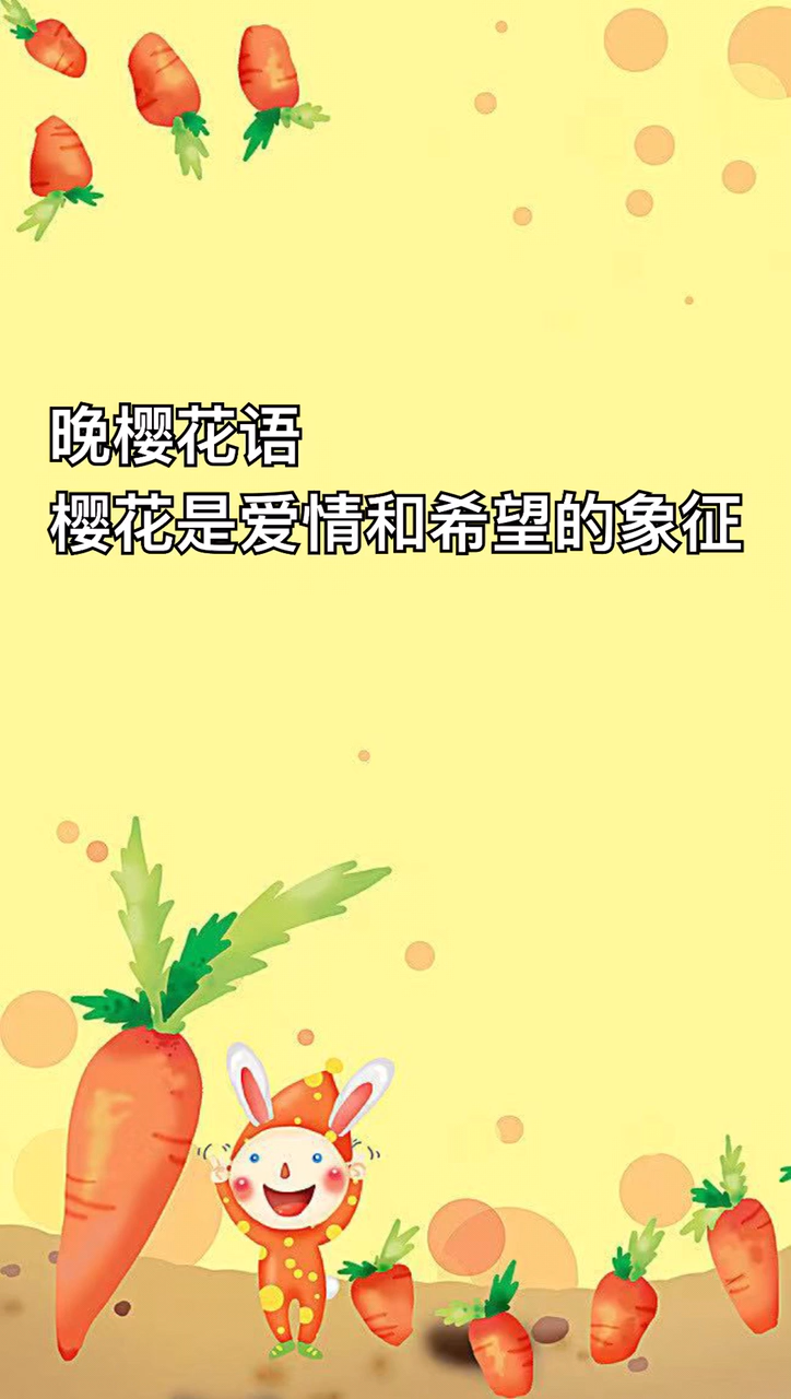 我来告诉你晚樱花语