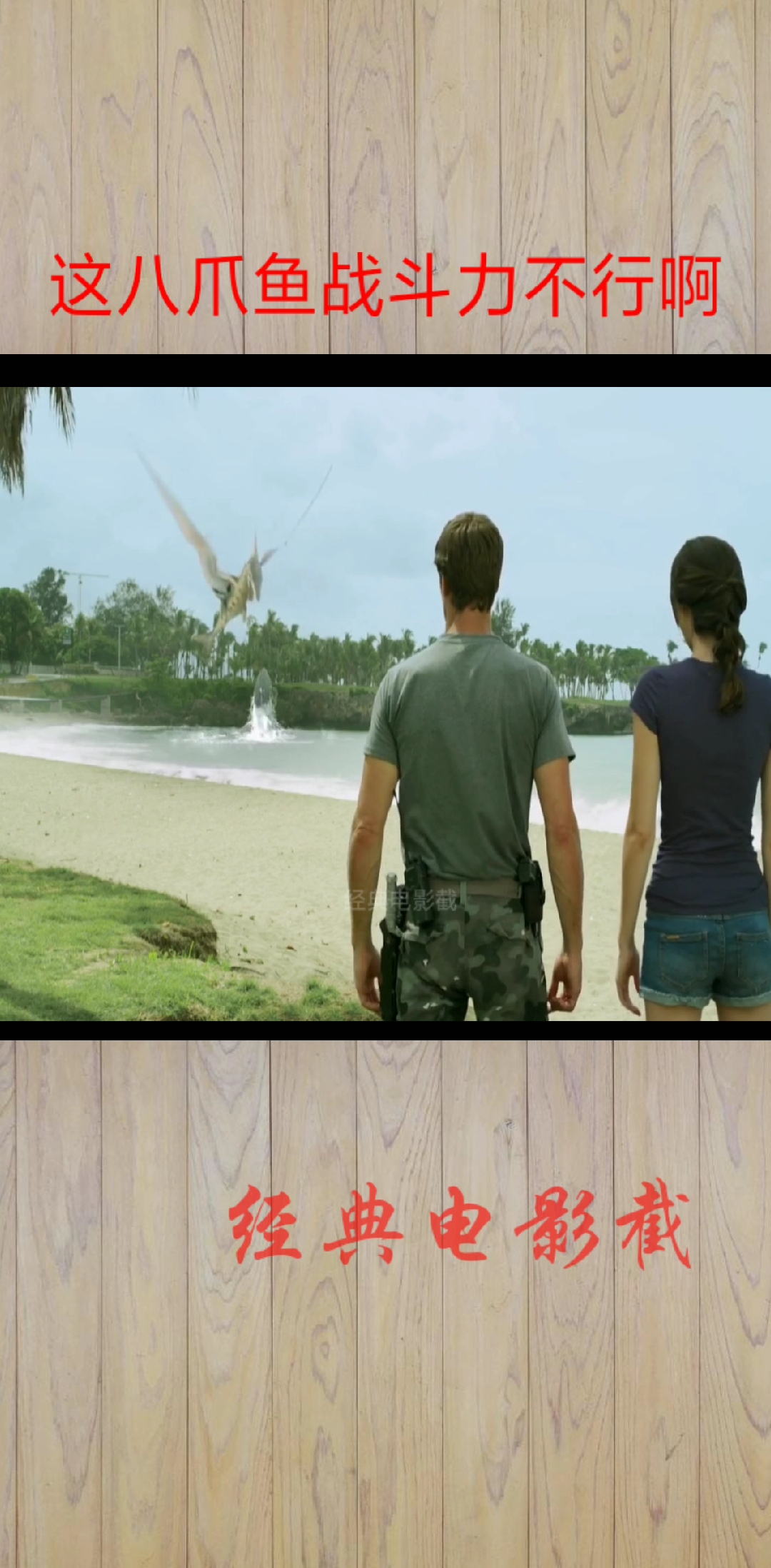 翼龙跟八爪鱼打起来了 不知谁厉害一些呢