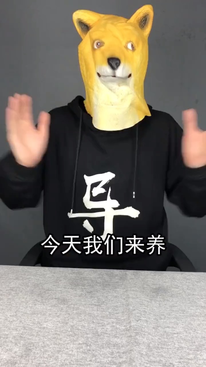 和阿发一起来养传说中的鳌虾!