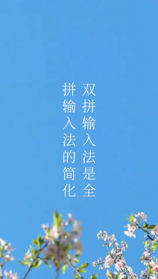 全拼和双拼有什么区别