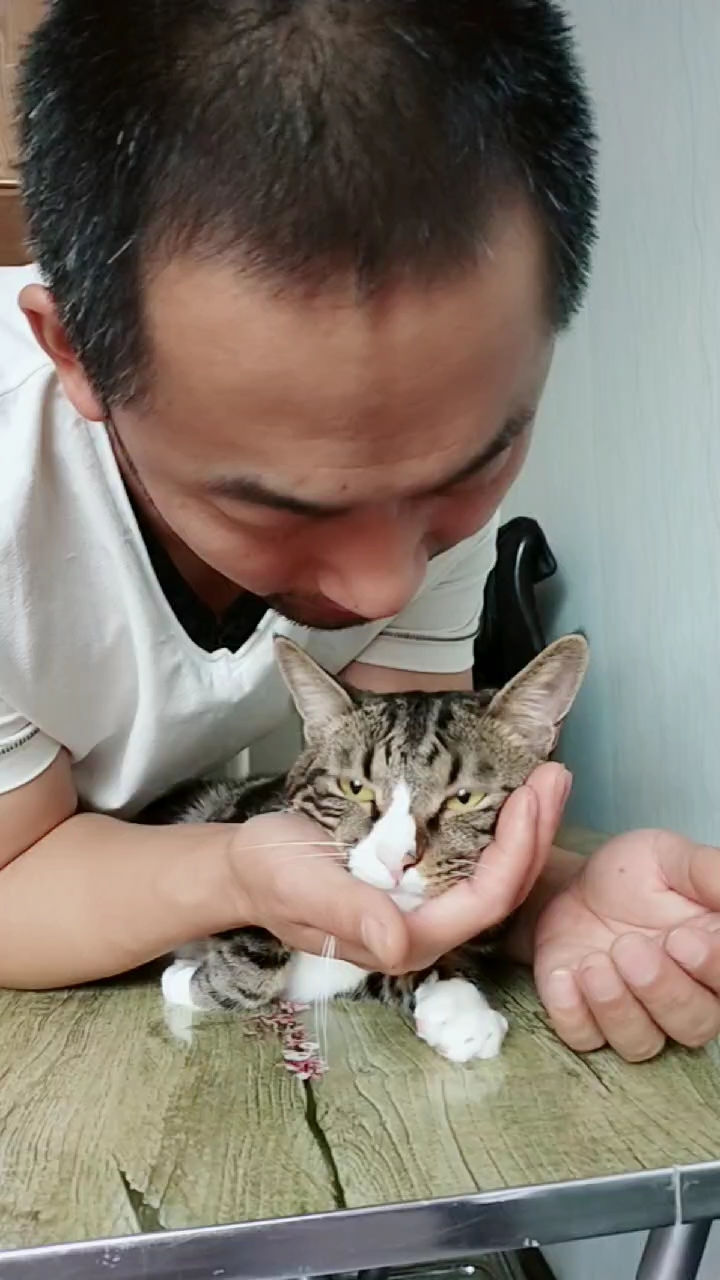 猫肉炖狗肉,生无可恋