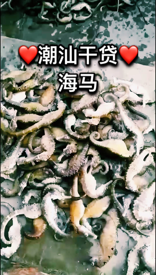 来自潮汕大海的味道!