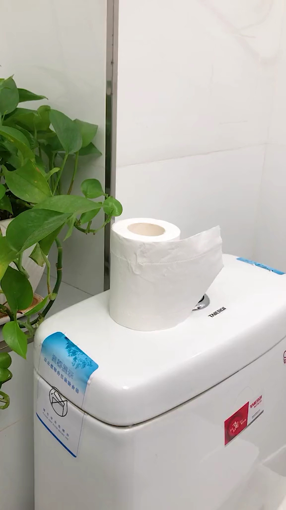 卫生间纸巾盒
