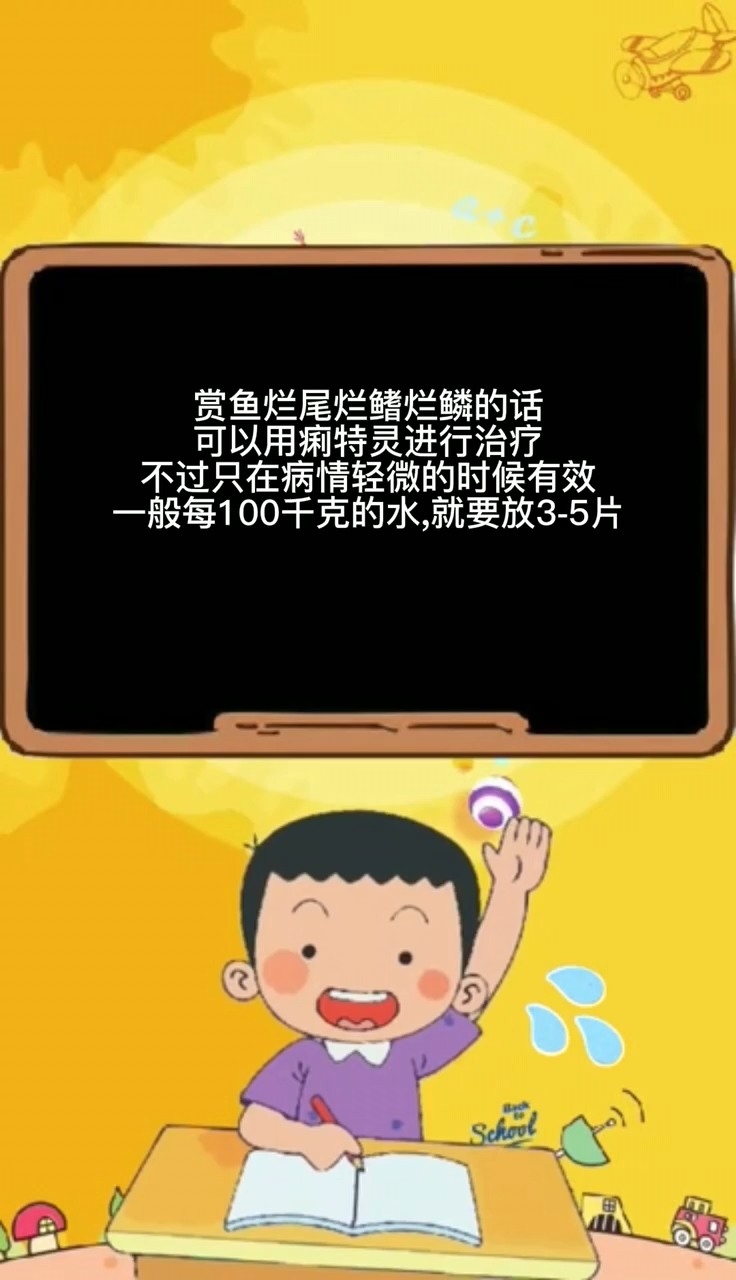 观赏鱼烂尾用什么药