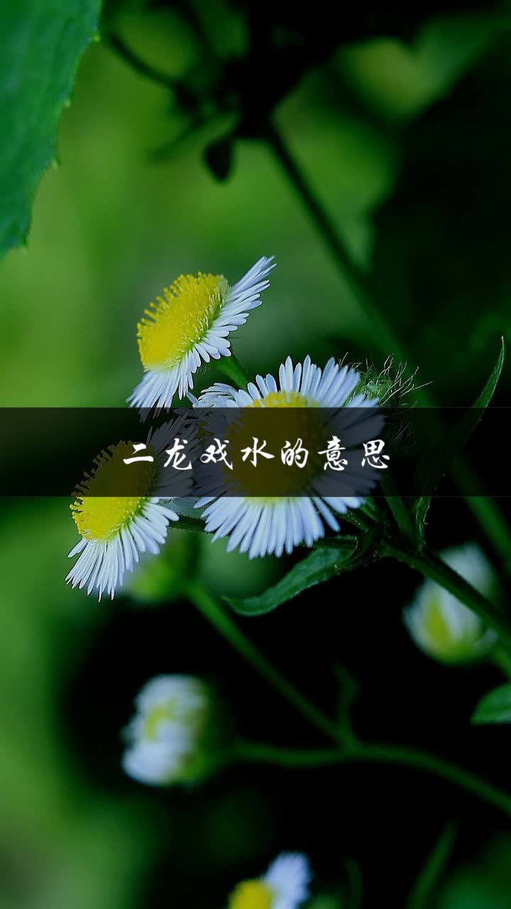 二龙戏水的意思