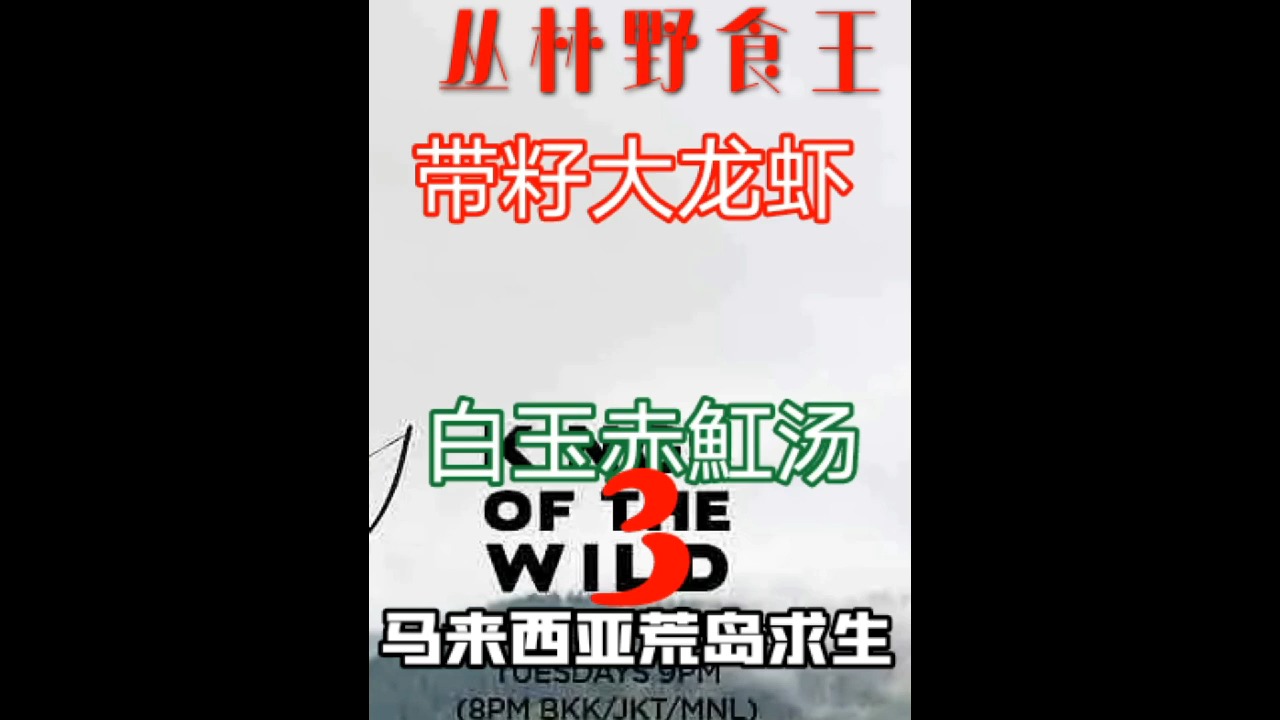 #美食#带籽大龙虾,白玉赤魟汤