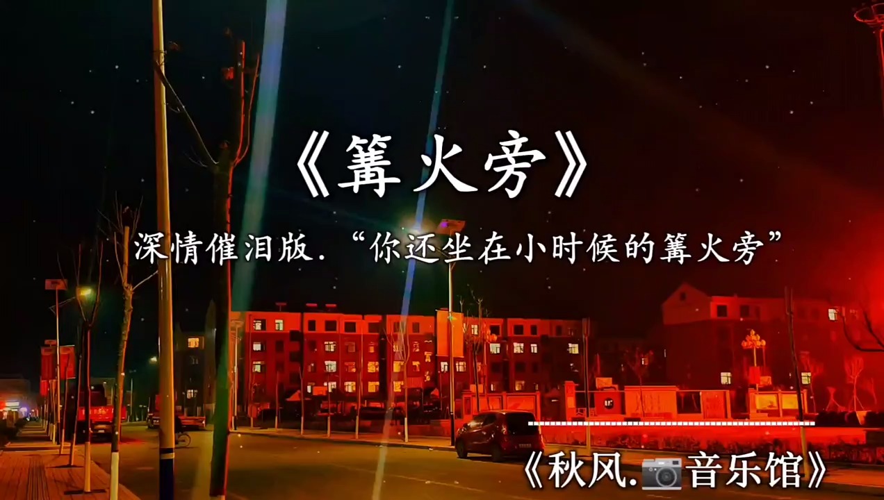 世界上最远的距离,是鱼与飞鸟的距离,一个在天,一个却深潜海底