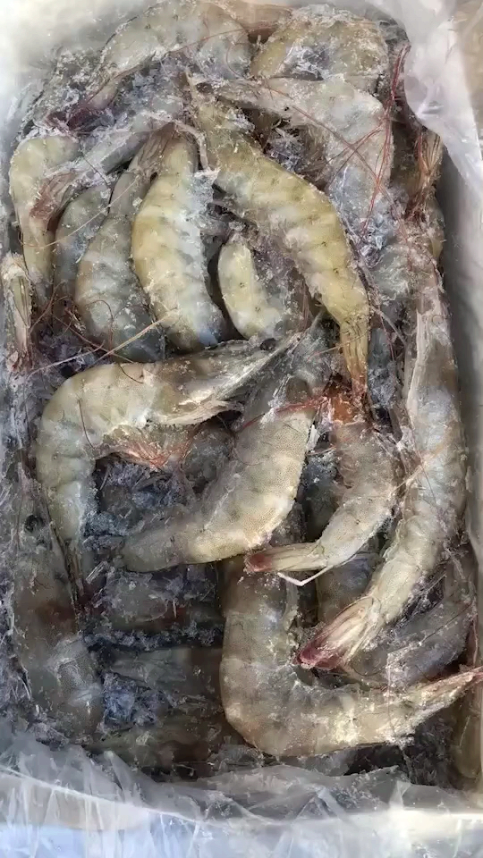 冰冻大海虾