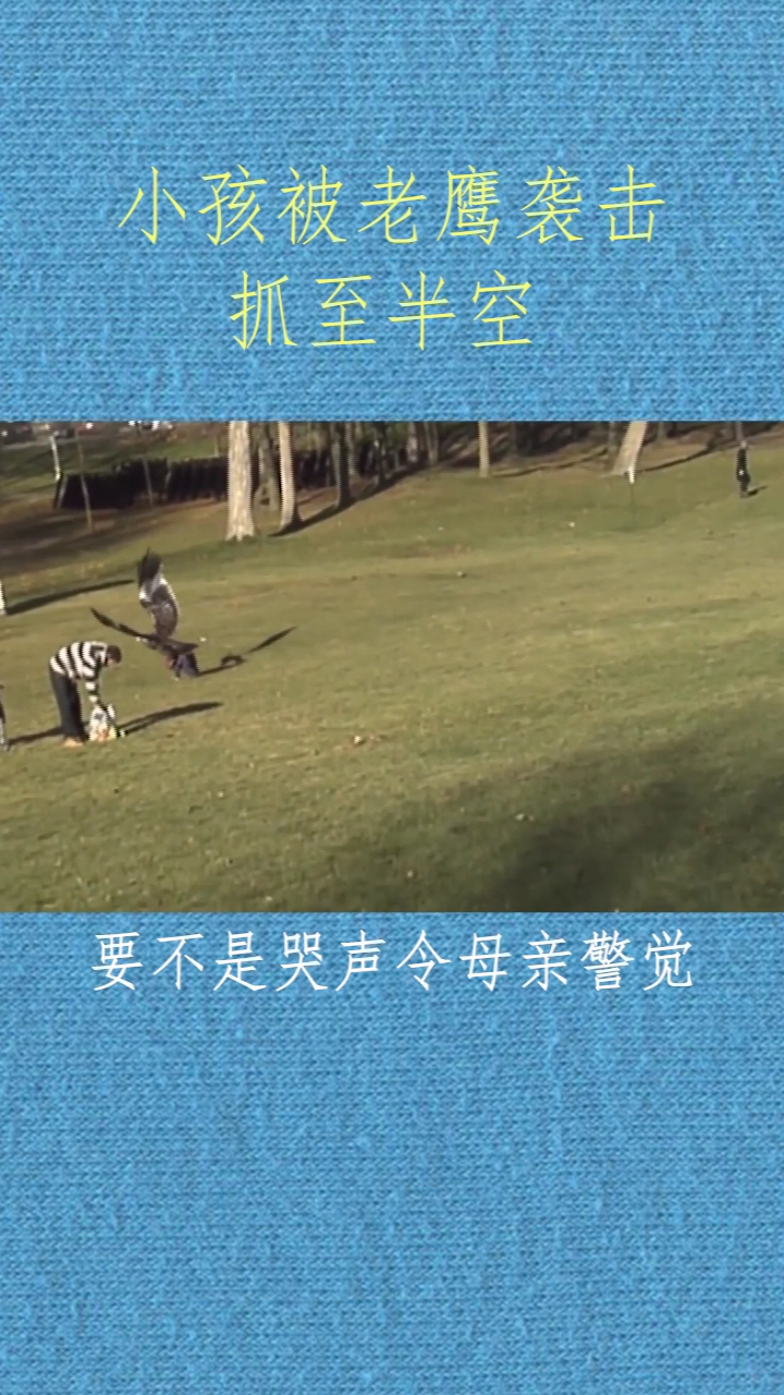 小时的老鹰抓小鸡变成了老鹰抓小孩