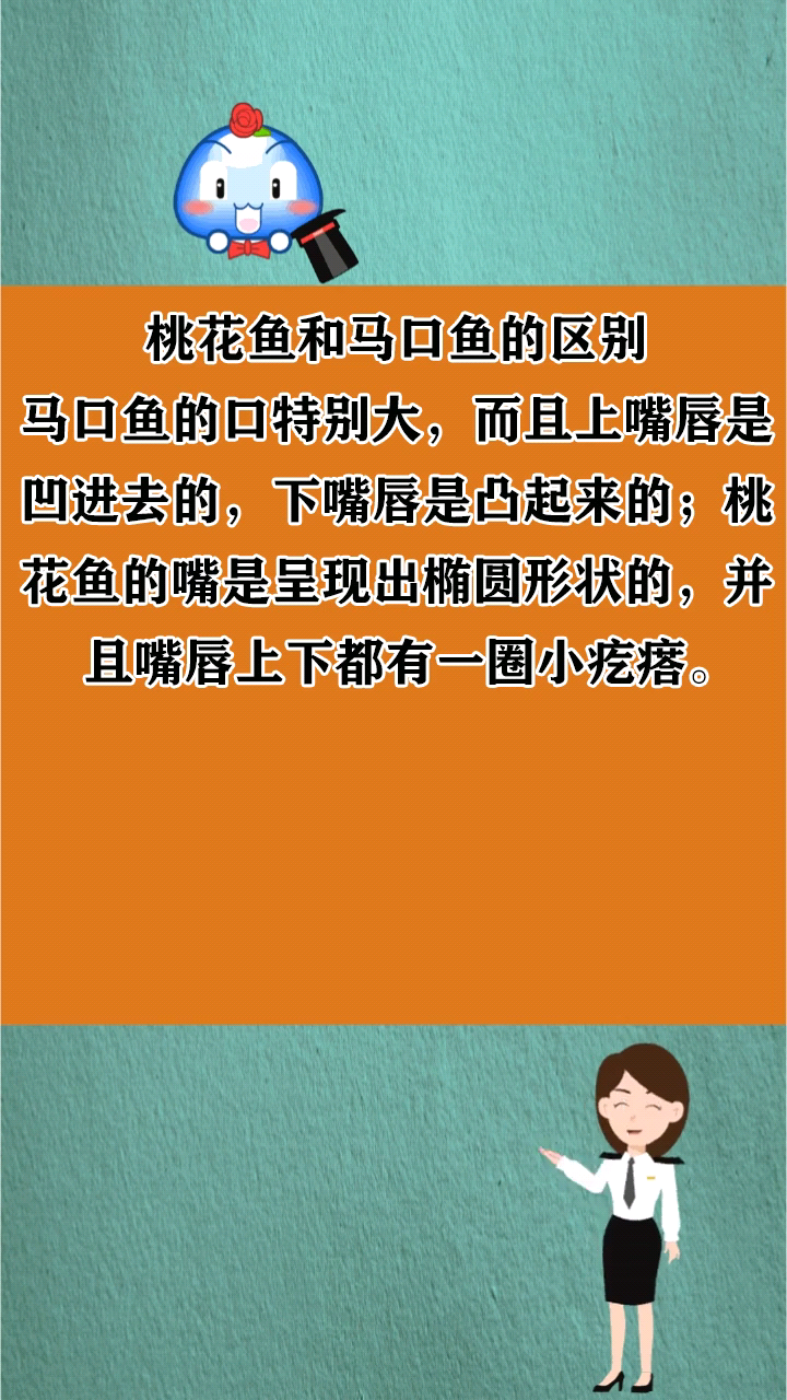 桃花鱼和马口鱼的区别