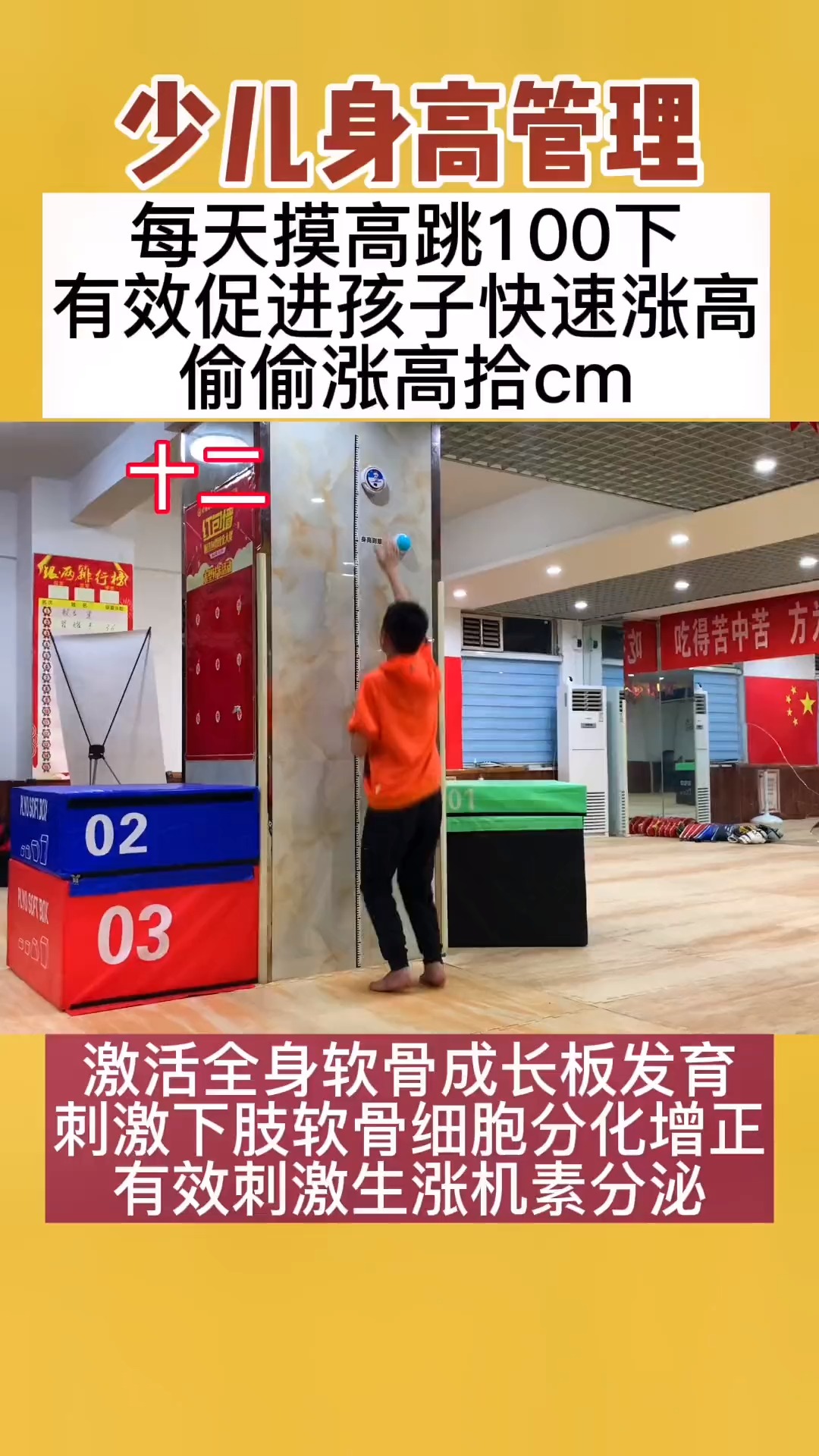 #长高秘诀#每天放学晚饭后四十分钟做下张高运动月月一厘米轻松#好物推荐 #儿童身高管理 #