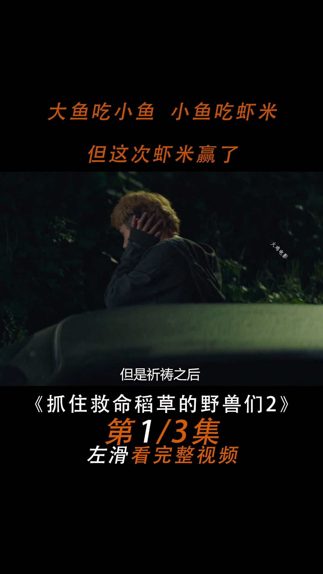 #好看电影#抓住救命稻草的野兽们
