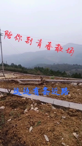 #励志语录#励志正能量#励志语录正能量