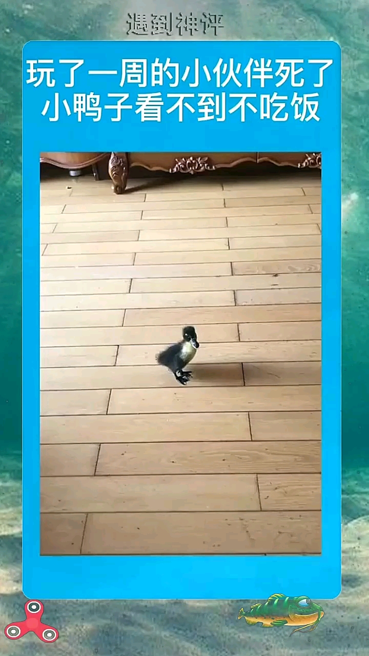 '''