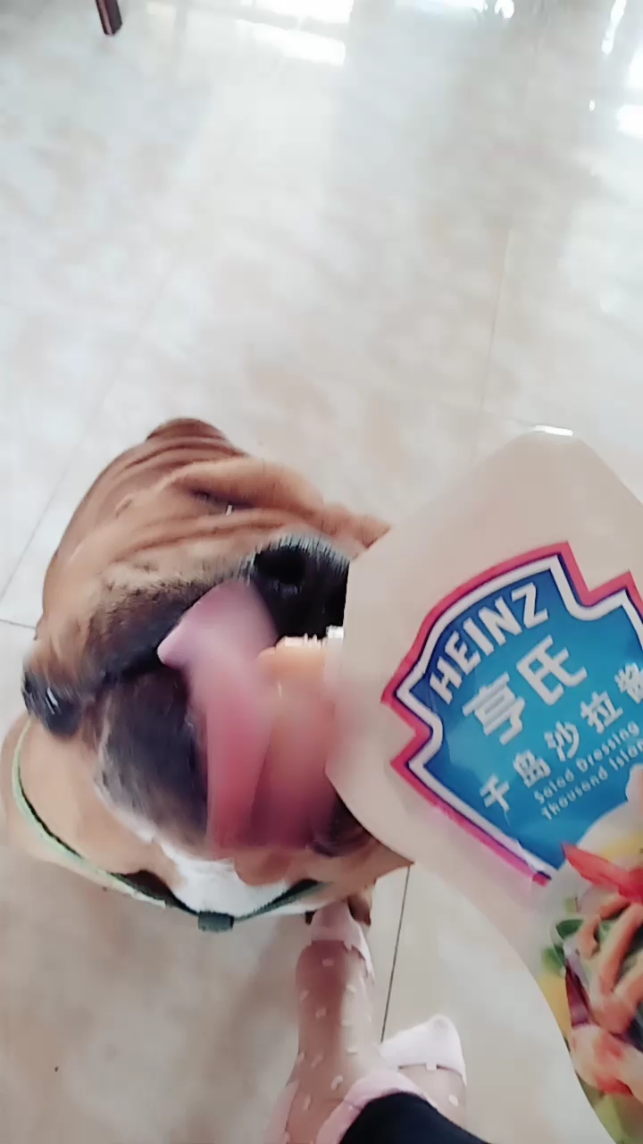分享视频