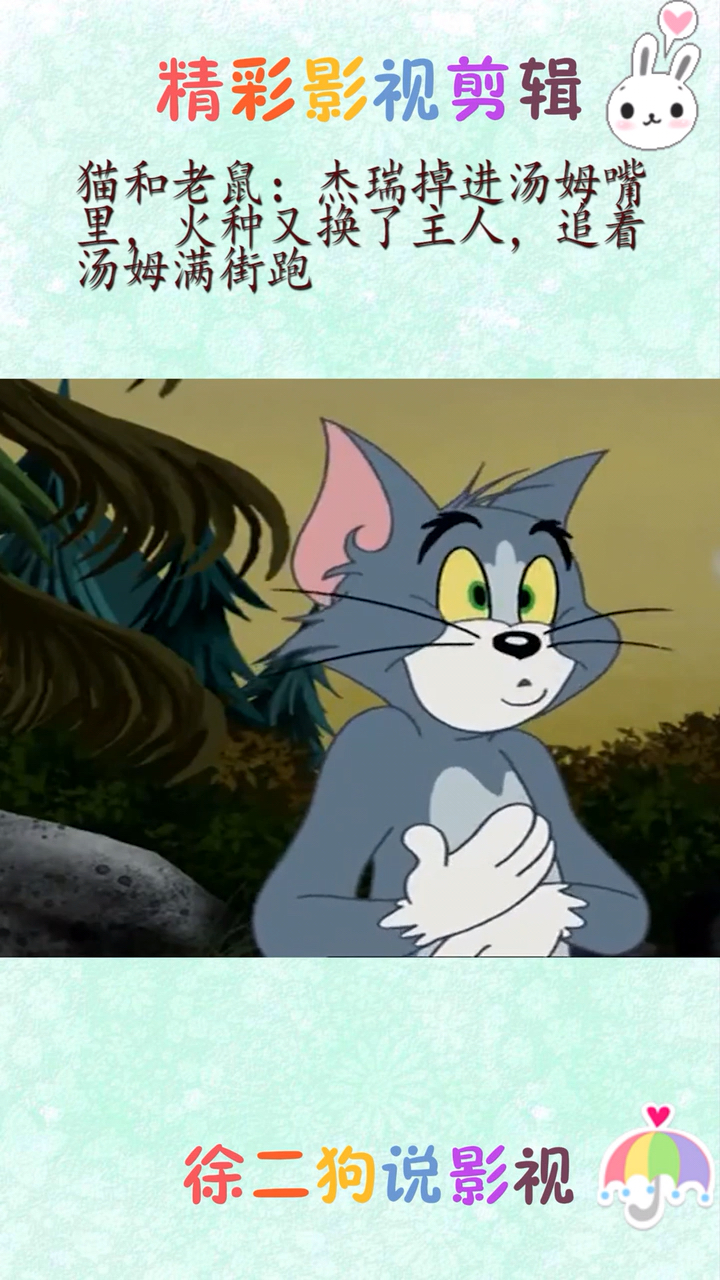 猫和老鼠