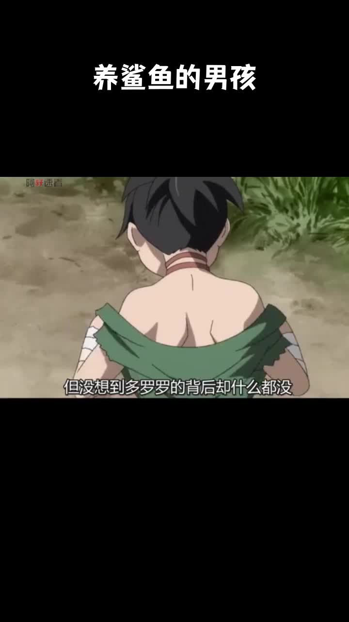 养鲨鱼的男孩