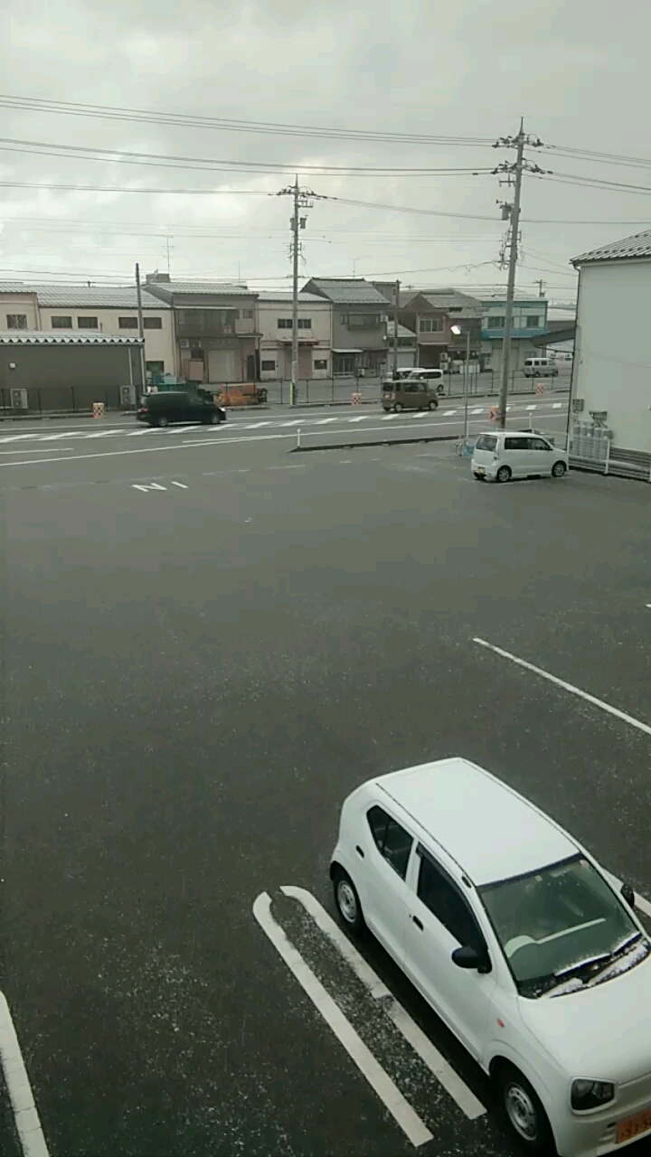 日本高岗下雪豆子了